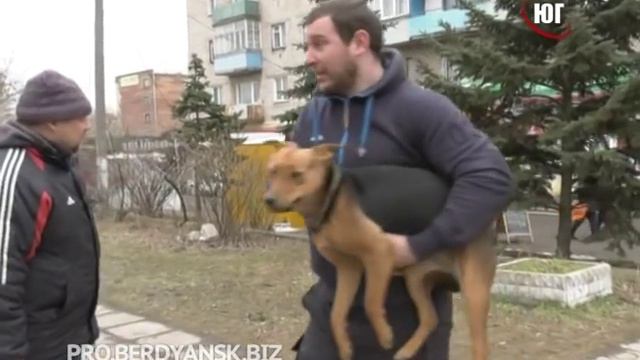 БЕРДЯНСК 2019 Ловець собак 2019 03 12 смотреть онлайн