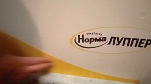 Обзор инкубатора, как собрать инкубатор «Норма Луппер»