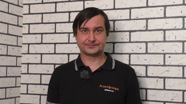 Ци Альфа, Неофрал, Цунами и Аккорд - обзор препаратов от вредителей на основе альфа-циперметрин смотреть онлайн