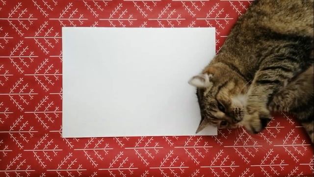 Брошь с черникой из полимерной глины смотреть онлайн