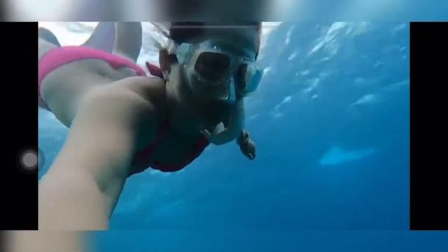 Free diving in Kenting смотреть онлайн