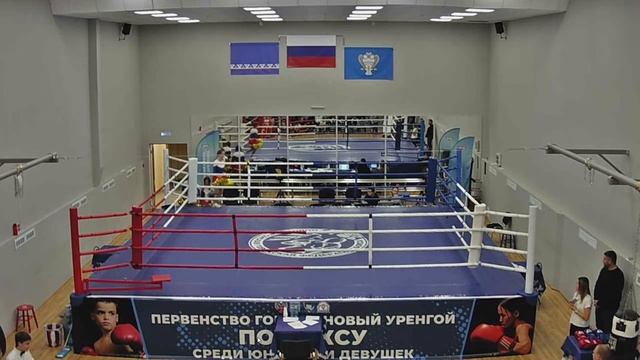 Первенство г. Новый Уренгой по боксу среди юношей и девушек 2005-2006, 2007-2008, 2009-2010 гг.р. смотреть онлайн