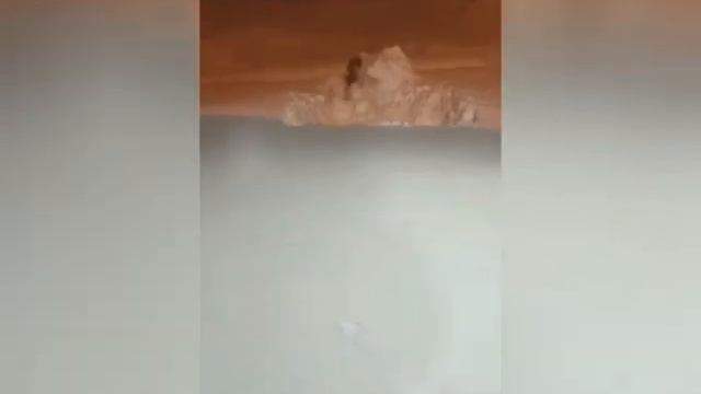 На Сахалине в метель устроили челлендж "Прыгни в сугроб -2" смотреть онлайн