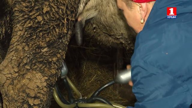 Молочное счастье смотреть онлайн