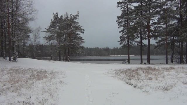 Каталитическая бензиновая грелка для рук Zippo Black Hand Warmer смотреть онлайн