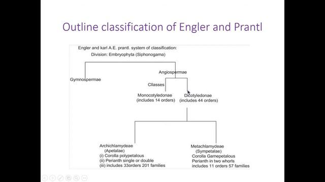 SYBSc | Taxonomy of Angiosperms | BO-231| Phylogenetic classification | Engler and Pratl systems смотреть онлайн