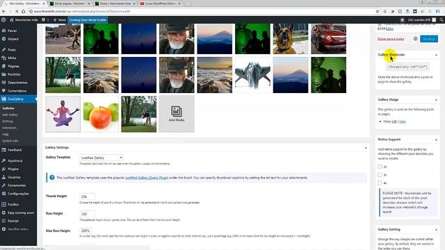 Melhor plugin de galeria de imagens do WordPress | Tema Shapely Aula 10 смотреть онлайн