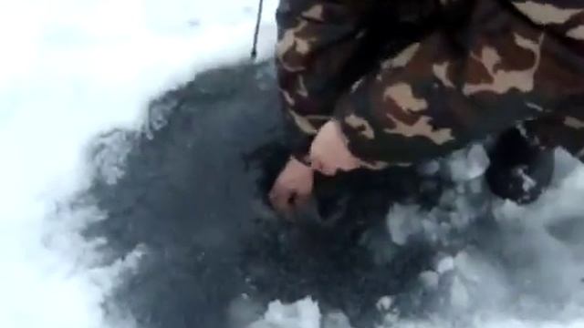 необычный улов смотреть онлайн