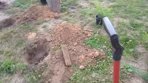 Посадка спиреи