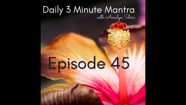 Episode 45 - Daily 3 Minute Mantra Podcast - Om Hrim Hamsa Soham Swaha смотреть онлайн