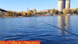 Как ловить на поплавочную удочку на сильном течение на реке,ВСЕ ОТ А ДО Я ПРИКОРМКА, МОНТАЖ,НАЖИВКА