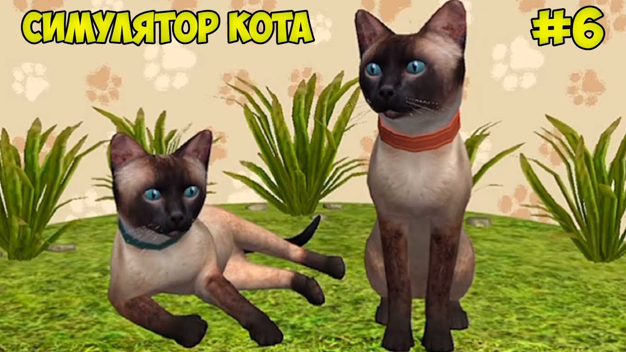 СИМУЛЯТОР КОТА и КОШКИ #6 Сиамская кошка против банды зайцев и кабана смотреть онлайн