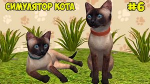 СИМУЛЯТОР КОТА и КОШКИ #6 Сиамская кошка против банды зайцев и кабана