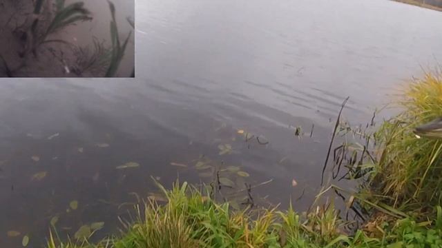 Подводная съёмка 4. Поймали рыбу. Снимки с GO PRO. Много интересного. смотреть онлайн