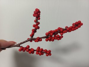 Илекс. Красивые красные ягодки своими руками.