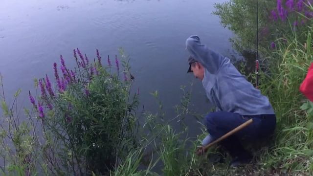 Рыбалка на реке Иня ( здоровенный ЯЗЬ) смотреть онлайн