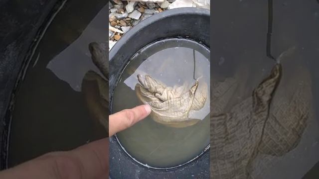 Чистота без лишних слов и забот