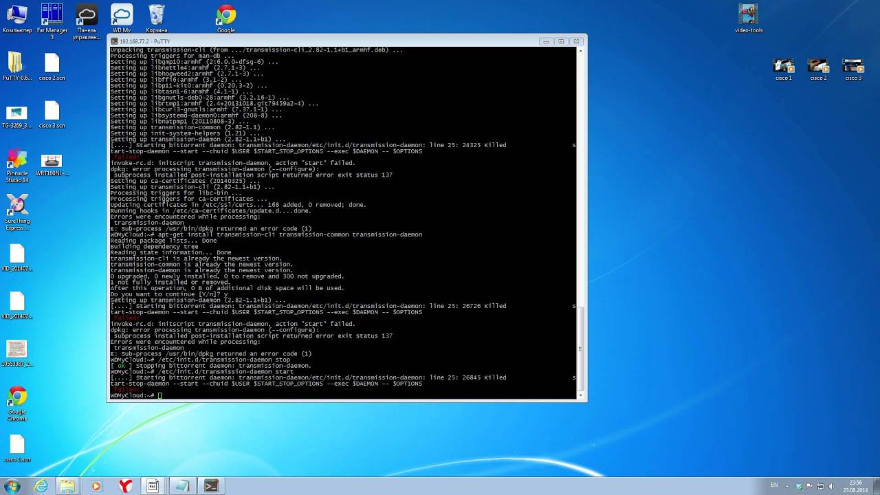 WD My cloud debian terminal session смотреть онлайн