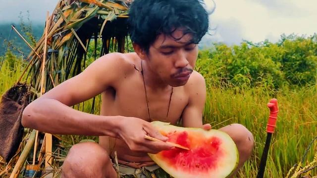 Primitive Survival - Ride a Raft on The River and Cook Bird Eggs - Borneo Island - Info Kita смотреть онлайн