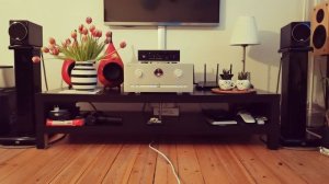 jvc sp-exa3 wood cone