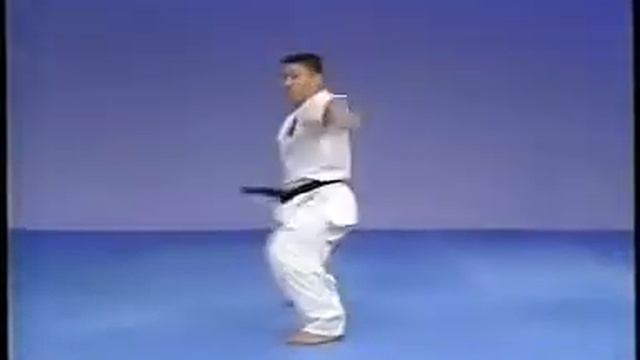 Пинан Соно Ичи, Ни, Сан, Ён, Го  Каратэ Киокушинкай