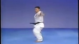 Пинан Соно Ичи, Ни, Сан, Ён, Го  Каратэ Киокушинкай