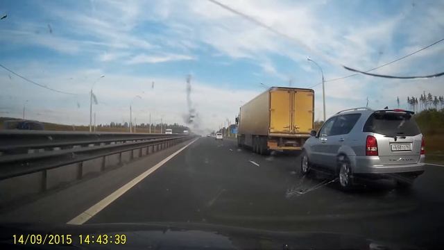 Глупая газель смотреть онлайн