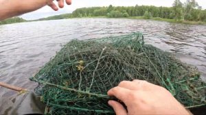 Ловля вершей большого количества линя и карася