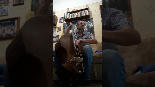 Электро контрабас... смотреть онлайн