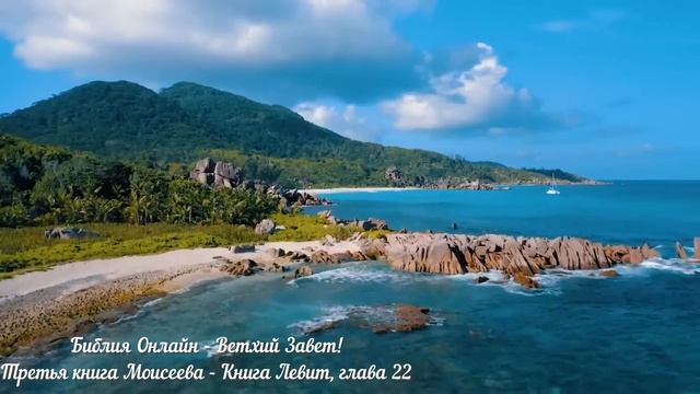 Библия Онлайн - Книга Левит, глава 22 смотреть онлайн