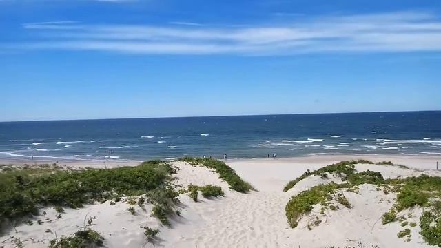 Паланги курская коса смотреть онлайн
