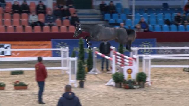 26 --- Cavoiro-H /Diarado/Cornet Obolensky, *2019 смотреть онлайн