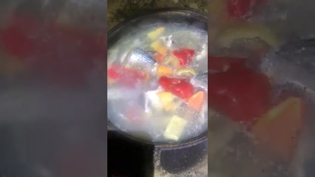 Кефаль жаренный и уха смотреть онлайн