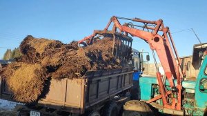 Чистим навоз в кашаре трактор Т-40 АМ
