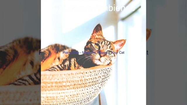 Groovy Cats смотреть онлайн