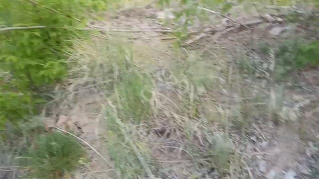 Поиски металла на свалке.  Сдал старые запасы.  Сколько удалось заработать?