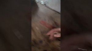 После капремонта двиготеля нет давления масла.