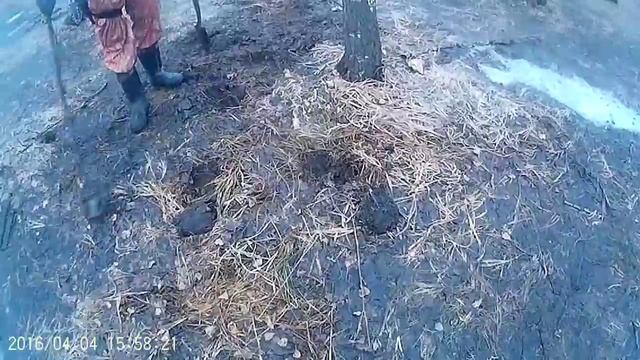 Лесной коп с россыпью советов ( улучшенная версия) смотреть онлайн