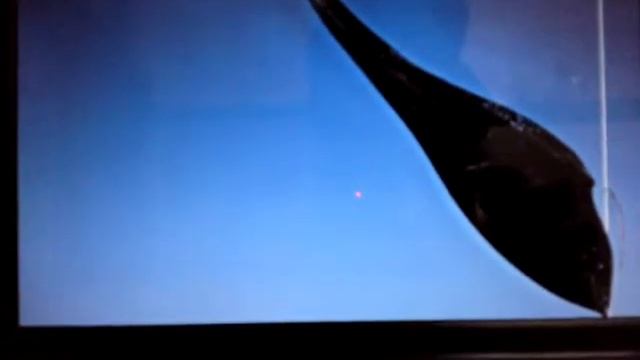 Asus EeePC 1005HA Hackintoshed смотреть онлайн