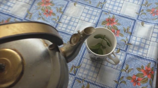 СтройСоветы