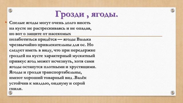 Валёк виноград смотреть онлайн