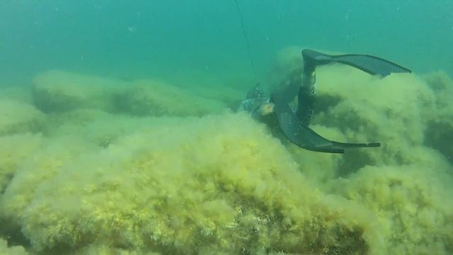 Подводная охота в Каспийском море, Поездка с ночевкой смотреть онлайн