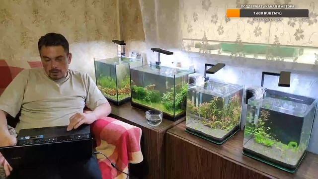 Несколько слов про хелат железа. Общаемся. смотреть онлайн