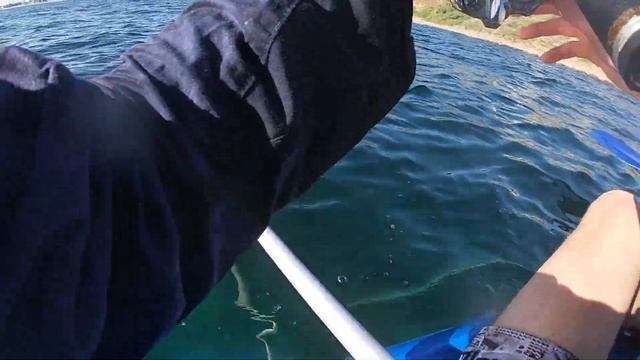 Insane Snook and Squid fishing from Marino | Adelaide Kayak Fishing смотреть онлайн