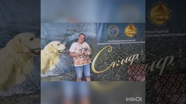 важный день получение документов ркф питомник чихуахуа Кастропуло Крым ❤️