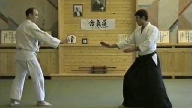 Aikido Chudan tsuki irimi nage/айкидо тюдан цки ирими нагэ смотреть онлайн