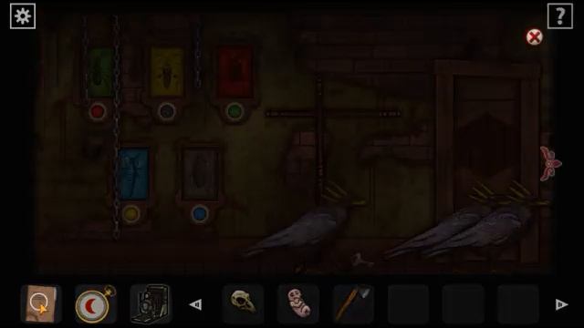 Forgotten Hill Disillusion  / Flora & Fauna Beyond /.