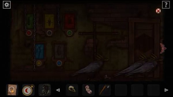 Forgotten Hill Disillusion / Flora & Fauna Beyond /.