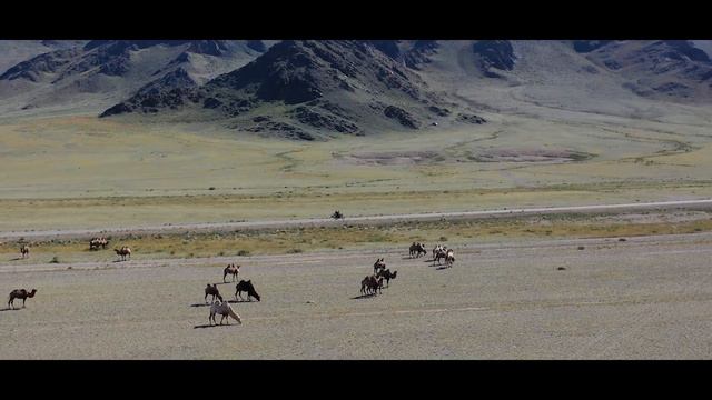 Western Mongolia #2 Bayan-Ulgii Tsengel /Inspired Michael Roberts/ смотреть онлайн