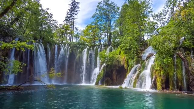 РАСКРЫТИЕ ВОЛЕВОГО ЦЕНТРА ⚡️ @novoe_probujdene_chelovchestva смотреть онлайн